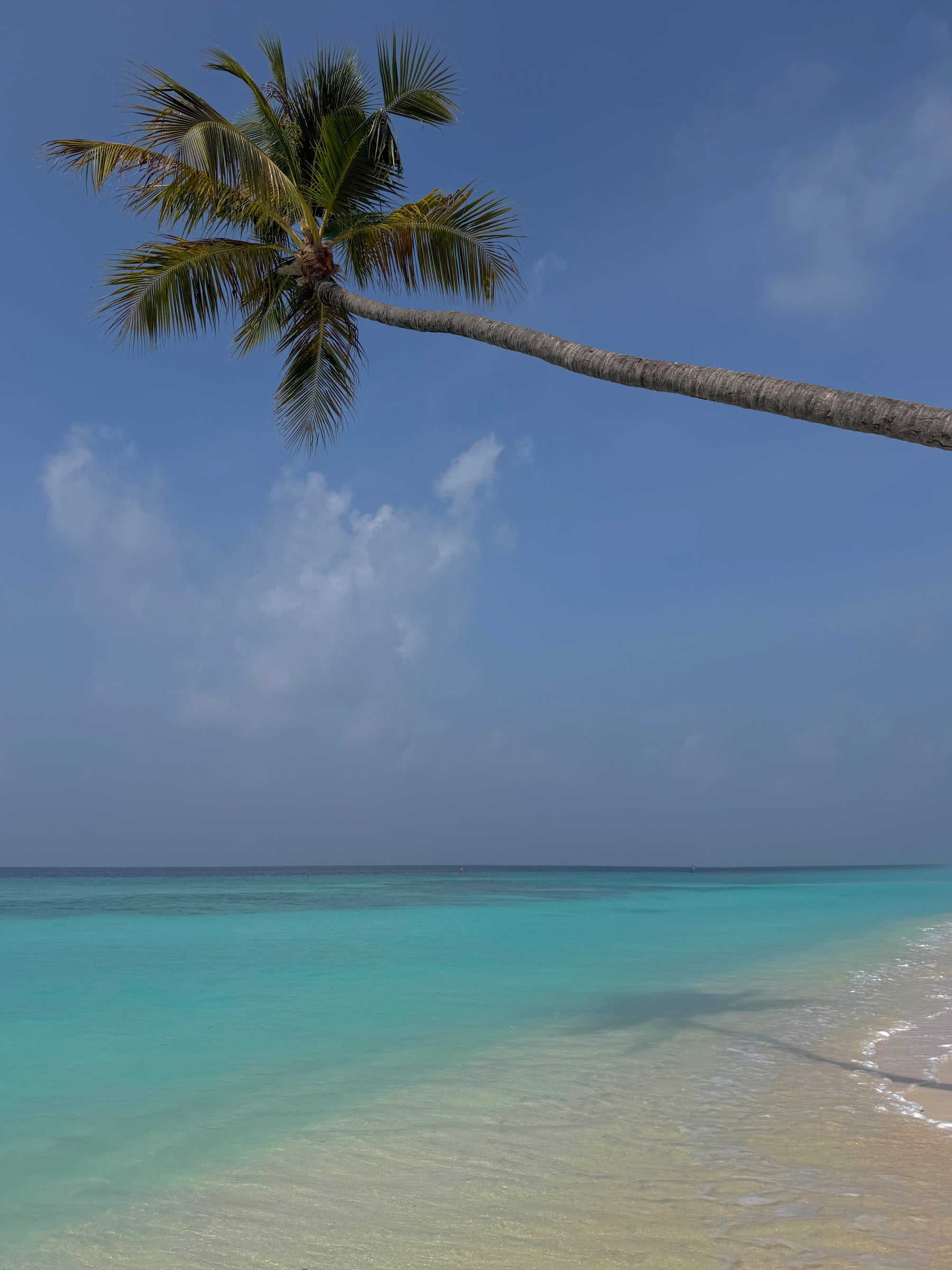WHAT TO WEAR ON VACATION