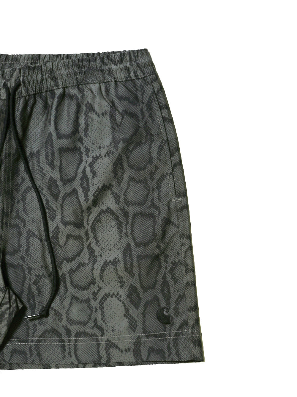 CARHARTT WIP-Slater Swim Trunks-