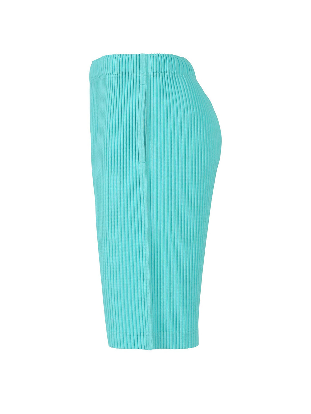 HOMME PLISSÉ ISSEY MIYAKE-COLOR PLEATS-