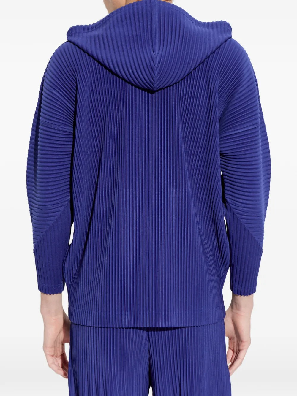 Homme plisse オムプリッセ HOMME PLISSÉ ISSEY MIYAKE-MONTHLY COLORS : FEBRUARY-HP66JC021 74