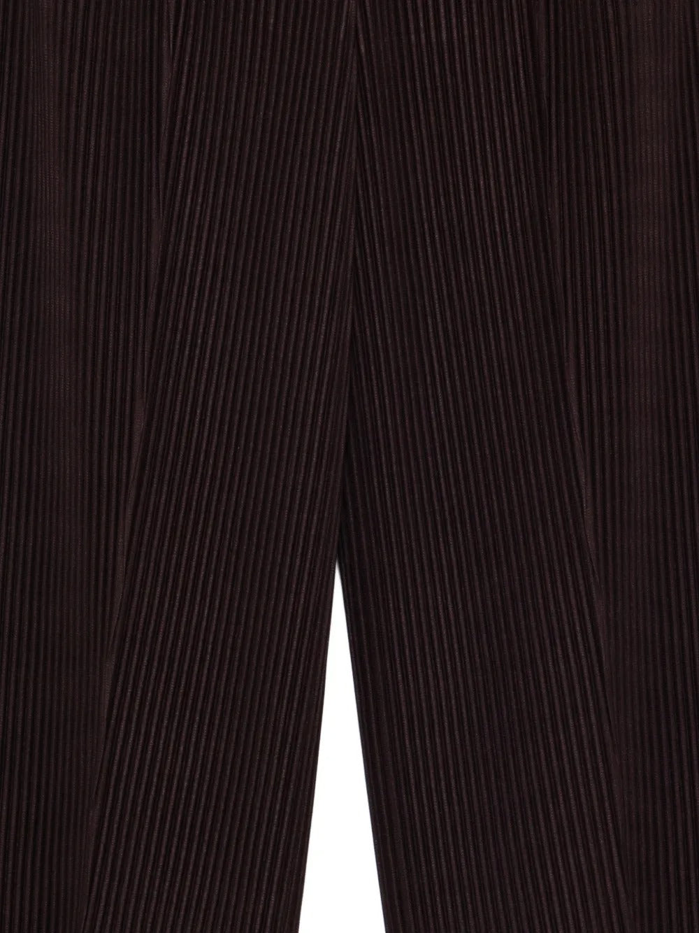 HOMME PLISSÉ ISSEY MIYAKE-MONTHLY COLORS : JANUARY-HP66JF014 18 – Dope