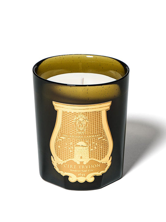 TRUDON-TRU ERNESTO CLASSIC BOUGIE 270 G-