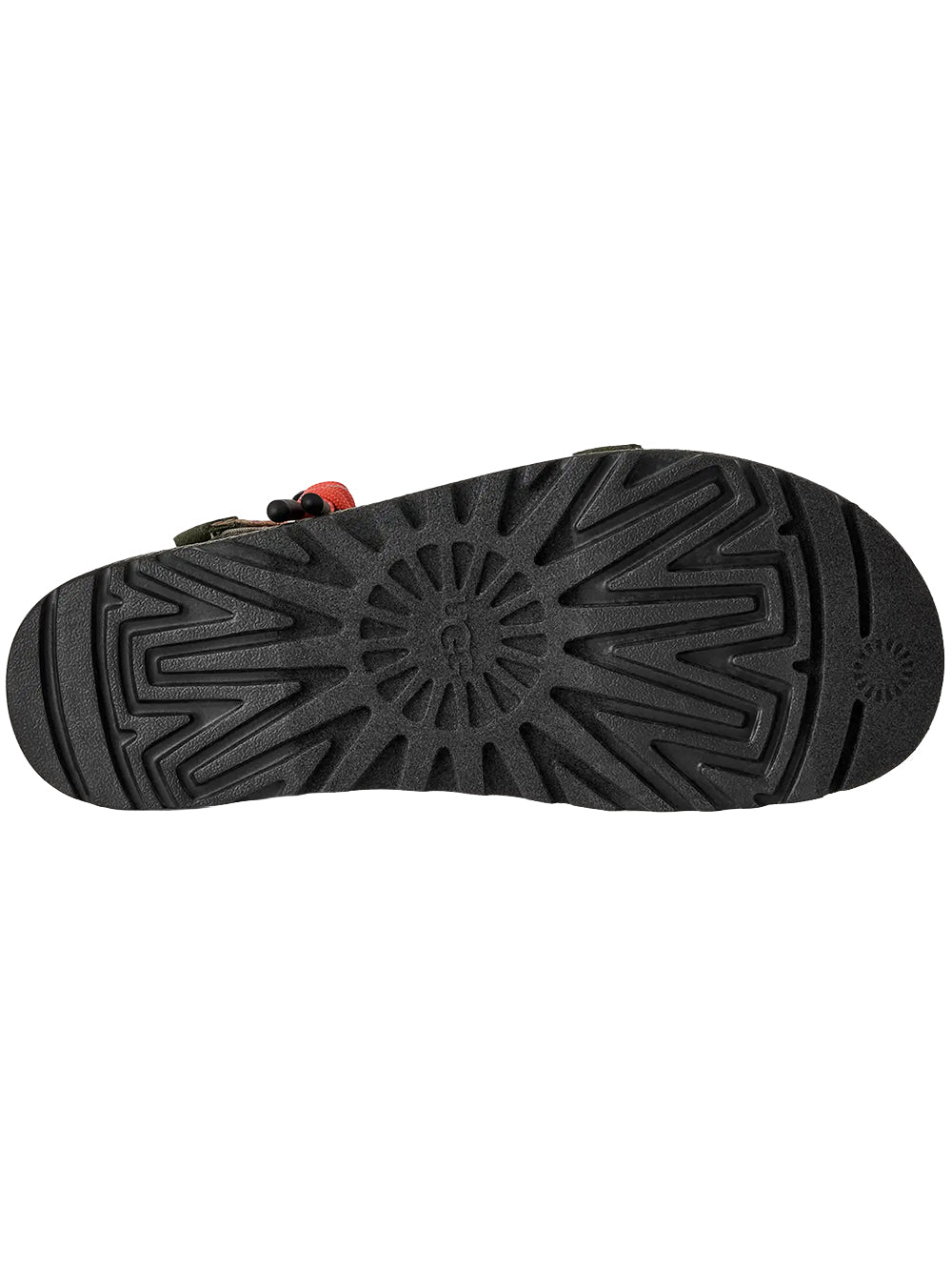 W GOLDENSTAR WILDWOOD