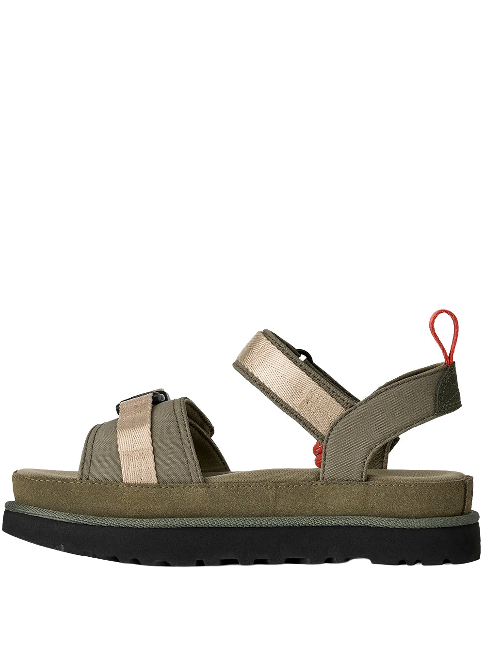 W GOLDENSTAR WILDWOOD