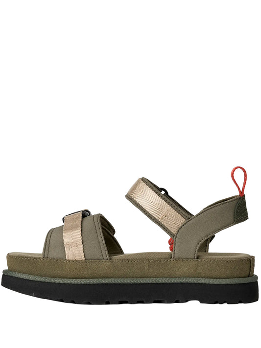 W GOLDENSTAR WILDWOOD